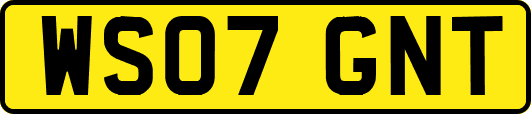 WS07GNT