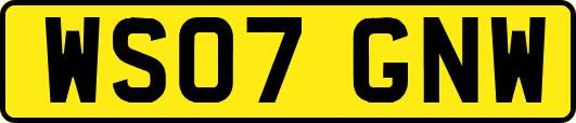 WS07GNW