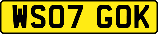 WS07GOK
