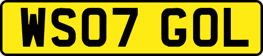 WS07GOL