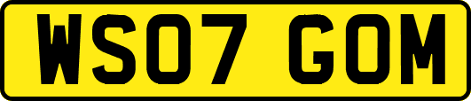 WS07GOM