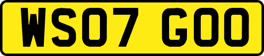 WS07GOO