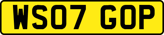WS07GOP