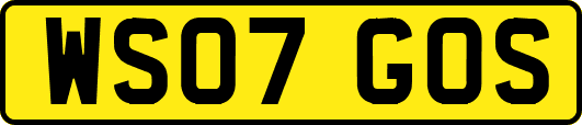 WS07GOS
