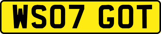 WS07GOT