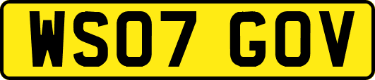 WS07GOV