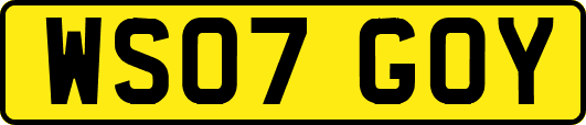 WS07GOY