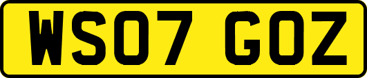 WS07GOZ