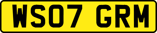 WS07GRM