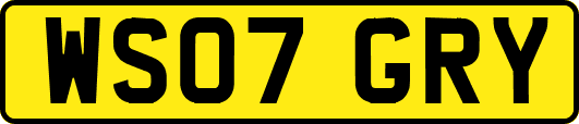 WS07GRY