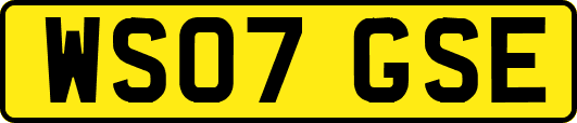 WS07GSE