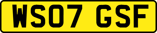 WS07GSF