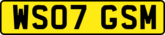 WS07GSM