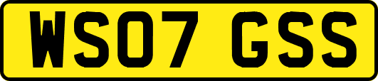 WS07GSS