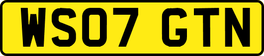 WS07GTN