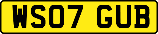 WS07GUB