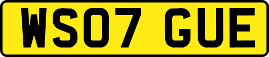 WS07GUE