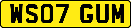 WS07GUM