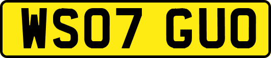 WS07GUO