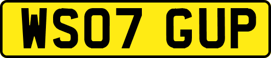 WS07GUP