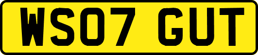 WS07GUT