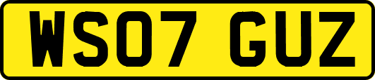 WS07GUZ