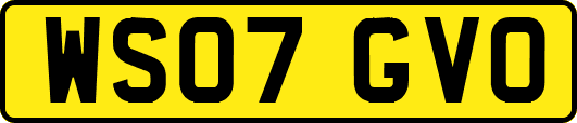 WS07GVO