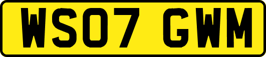 WS07GWM