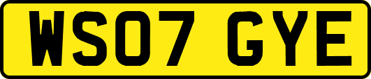 WS07GYE