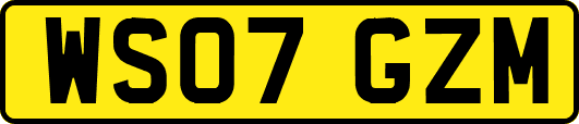WS07GZM