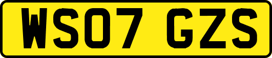 WS07GZS