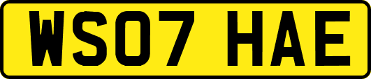 WS07HAE