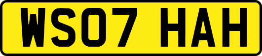 WS07HAH