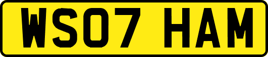 WS07HAM