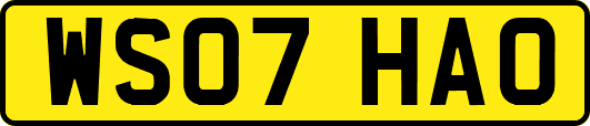 WS07HAO