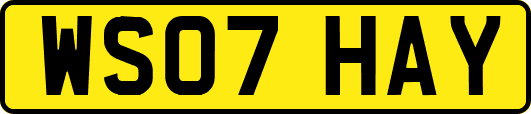 WS07HAY
