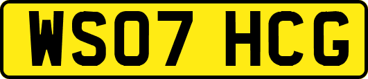 WS07HCG