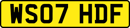 WS07HDF