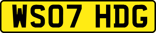 WS07HDG