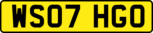WS07HGO