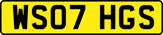 WS07HGS