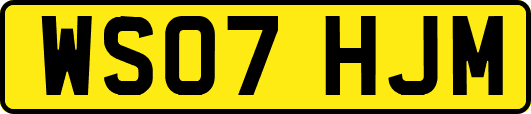 WS07HJM