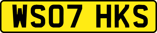 WS07HKS