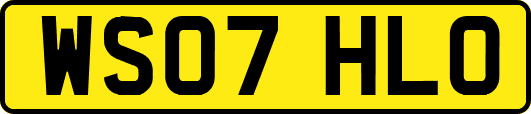 WS07HLO