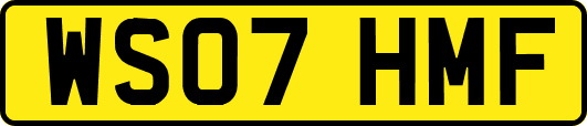 WS07HMF