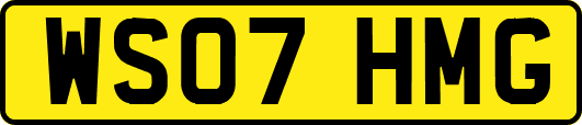 WS07HMG