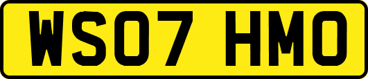 WS07HMO