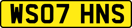 WS07HNS