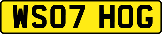 WS07HOG