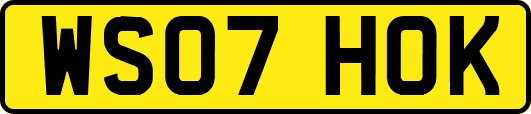 WS07HOK
